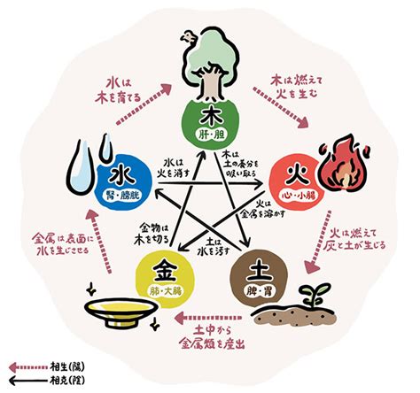 五行色体表 pdf|五行学説を詳細解説！！ 「五行の色体表」は丸暗記しないと国。